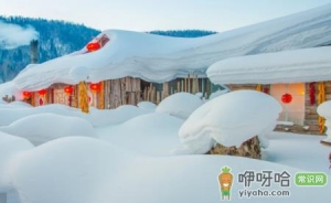 雪乡能看到极光吗