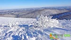 科目三路考下雪会停考吗