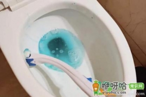 马桶堵了怎么办不下水