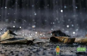 2022清明节会下雨吗