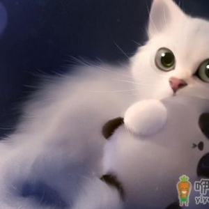 猫粮的选购技巧 给猫咪吃什么最好？