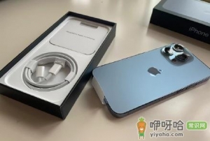 2022春节iPhone13会降价吗