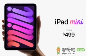 ipadmini6支持5G吗