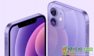 iPhone12紫色什么时候发售