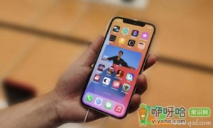 2021年618iPhone12会降价吗