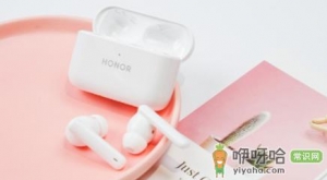 荣耀Earbuds 2 SE有降噪吗