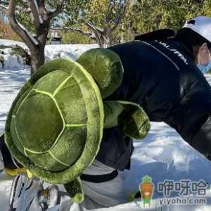 滑雪护具好用还是小乌龟好用