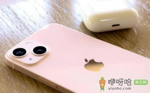 iphone13激活前如何验机