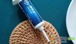 蟑螂胶饵蟑螂根本不吃怎么回事