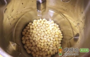 1300毫升豆浆机放多少豆子