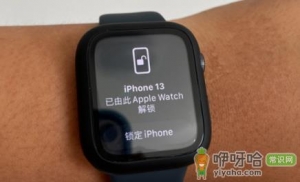 applewatch怎么不能帮助手机识别人脸了