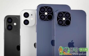 拼多多iPhone12可以预约了吗