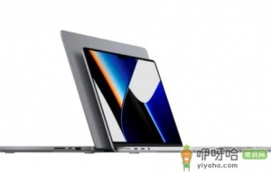 拼多多百亿补贴MacBookPro2021是正品吗