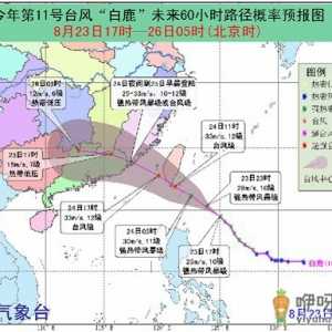 2019年台风白鹿几月几号几点登陆 台风白鹿在什么地方登陆