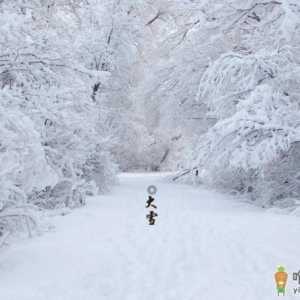 2019年大雪节气是阳历几月 大雪节气一定下雪吗