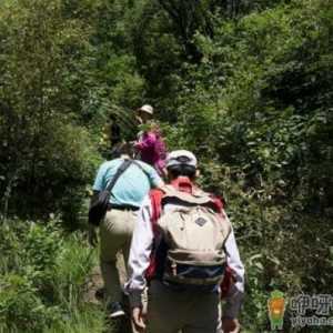 登山腿软到站不起来怎么办 登山之后腿好酸怎么办