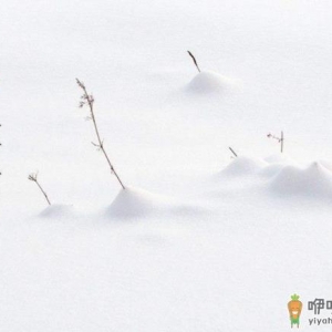 大雪节气后怎么做对身体好 大雪节气的时候可以吃什么