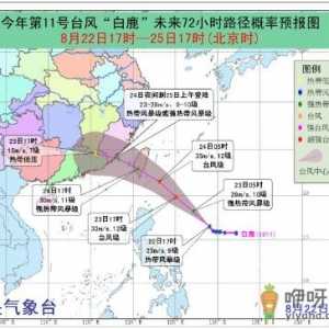 2019台风白鹿对交通影响大吗 台风白鹿航班火车动车停运最新消息 ...