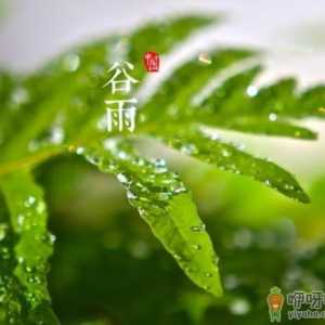 2020几点几分谷雨 谷雨的时候人们会干些什么