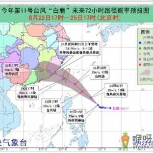 2019年台风白鹿对厦门有什么影响 台风白鹿厦门火车停运最新信息 ...