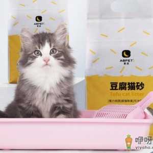 猫砂要不要定期更换 猫砂一般多久更换一次