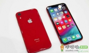 iphone11上市后xr会降价吗 现在买iphonexr划算吗