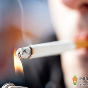 饭后这些事情千万不要做 伤身呐