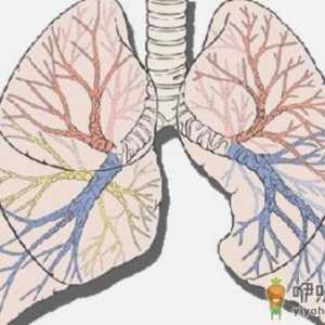 长寿还是短命来看这9大特征 有3个以上多半是长命人