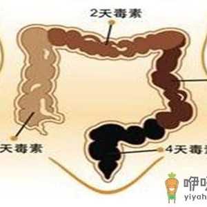 肠道是身体最大“藏毒点”