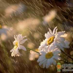 梅雨季节是什么时候？梅雨季节吃什么