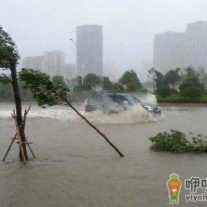 防范台风的方法 台风来了自救方法