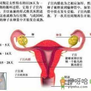 女人必须知道的经期秘密 让你受益无穷