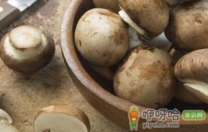 老人吃什么食物能降血压