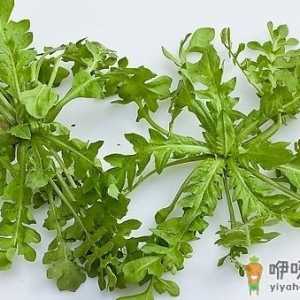 春季吃什么野菜好？四种食用野菜介绍