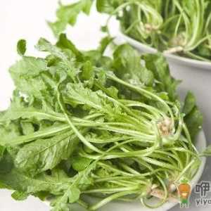 春季养生常吃野菜 健康的野菜菜谱推荐