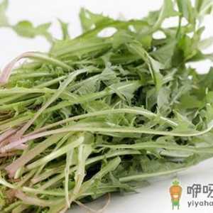 五种野菜不为人知的防病功效