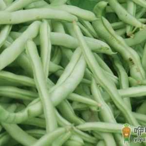 四季豆一定要煮熟吃 孩子吃蔬菜的注意事项