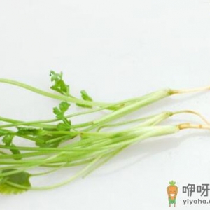 菜根不要扔-用白菜根可止咳