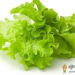 生菜的功效 生菜的做法