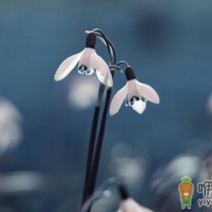 大学生初入职场如何自我调节