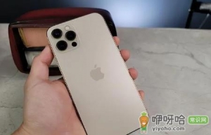 iphone14plus屏幕尺寸多大