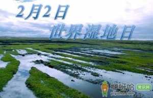 2月2日是什么节日？世界湿地日是几月几日