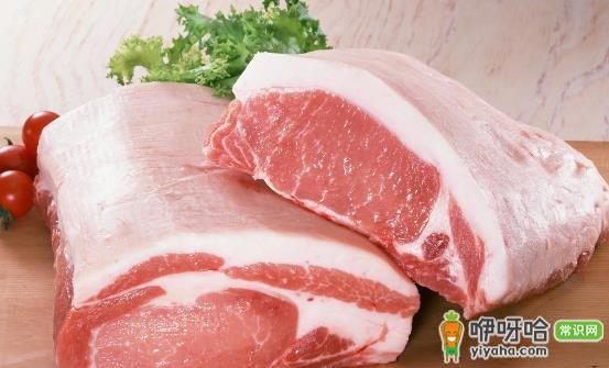 不宜和猪肉搭配的5种食物 同食有可能引起中毒