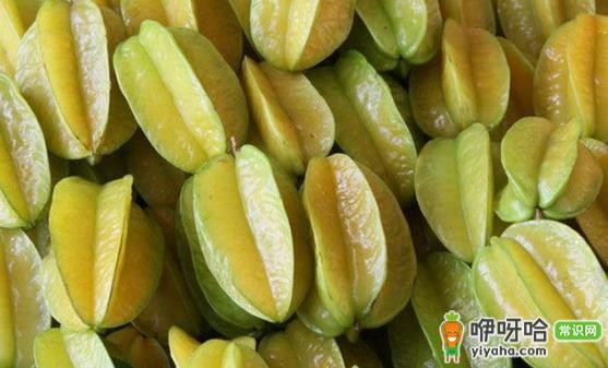 杨桃的各种好处与不当的地方 吃杨桃要多加注意