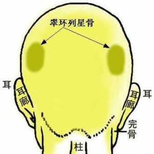 骨相图解：翠环列星骨