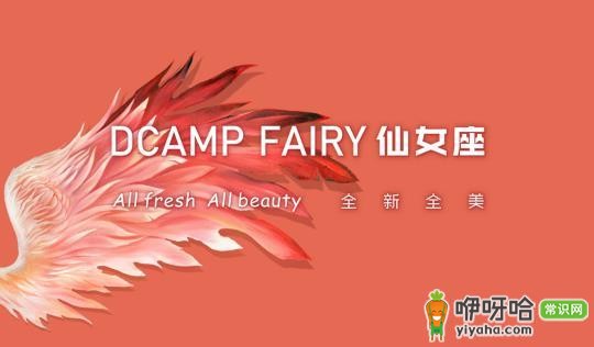 小仙女通关大人世界的第一站——仙女座DCAMP FAIRY