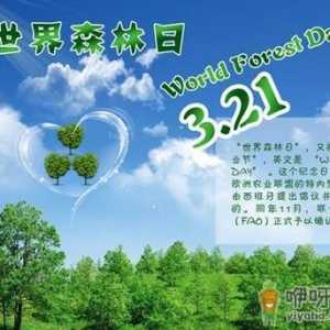 3月21日是什么节日？世界森林日的来历和意义