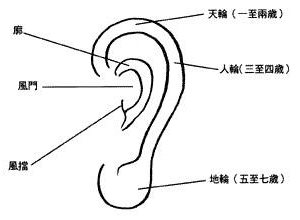 耳朵面相算命图解大全-从耳朵看一生运势吉凶