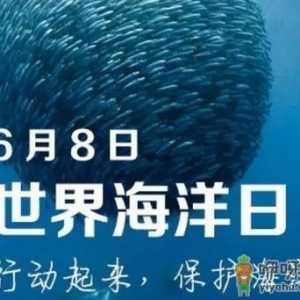 6月8日是什么节日？世界海洋日是几月几日