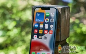 iPhone13Pro官网下架了去哪买